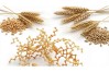 Intoleranța la gluten: Simptome, diferențe față de boala celiacă și alimente de evitat