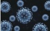 Gripa: simptome, diferențe între Gripa A și B, scheme de tratament și vaccinul antigripal